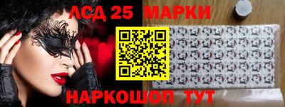 гашик Сланцы