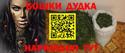 гашик Сланцы
